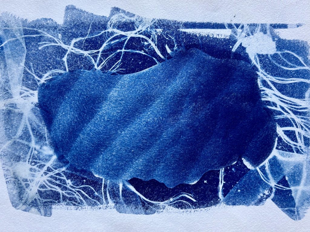 Jenni Koivurova: Vedenalainen, sininen syanotypia