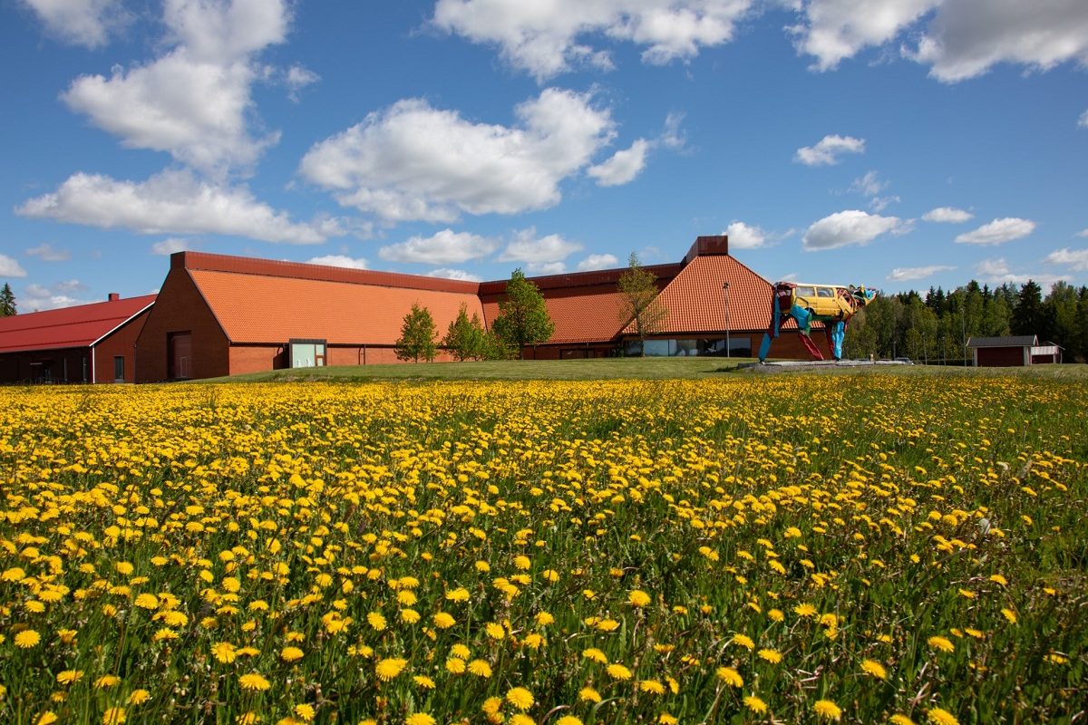 Museorakennus ja voikukkia kukkivaa niittyä